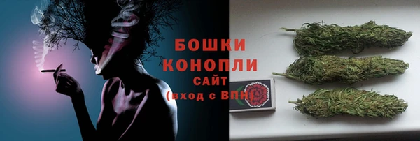 кокс Арсеньев