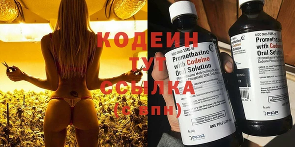 кокс Арсеньев