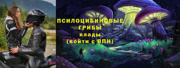 apvp Армянск